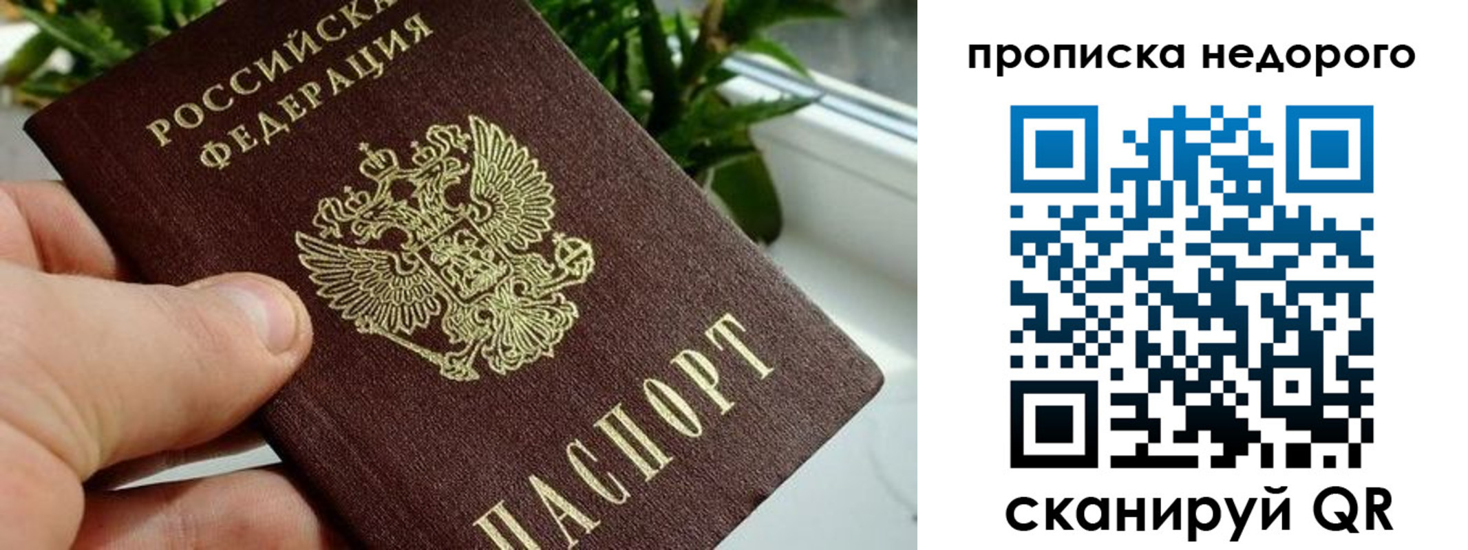 прописка для кредита в Павлово